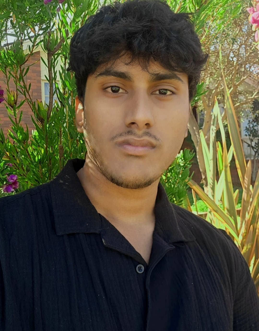 Hola world image