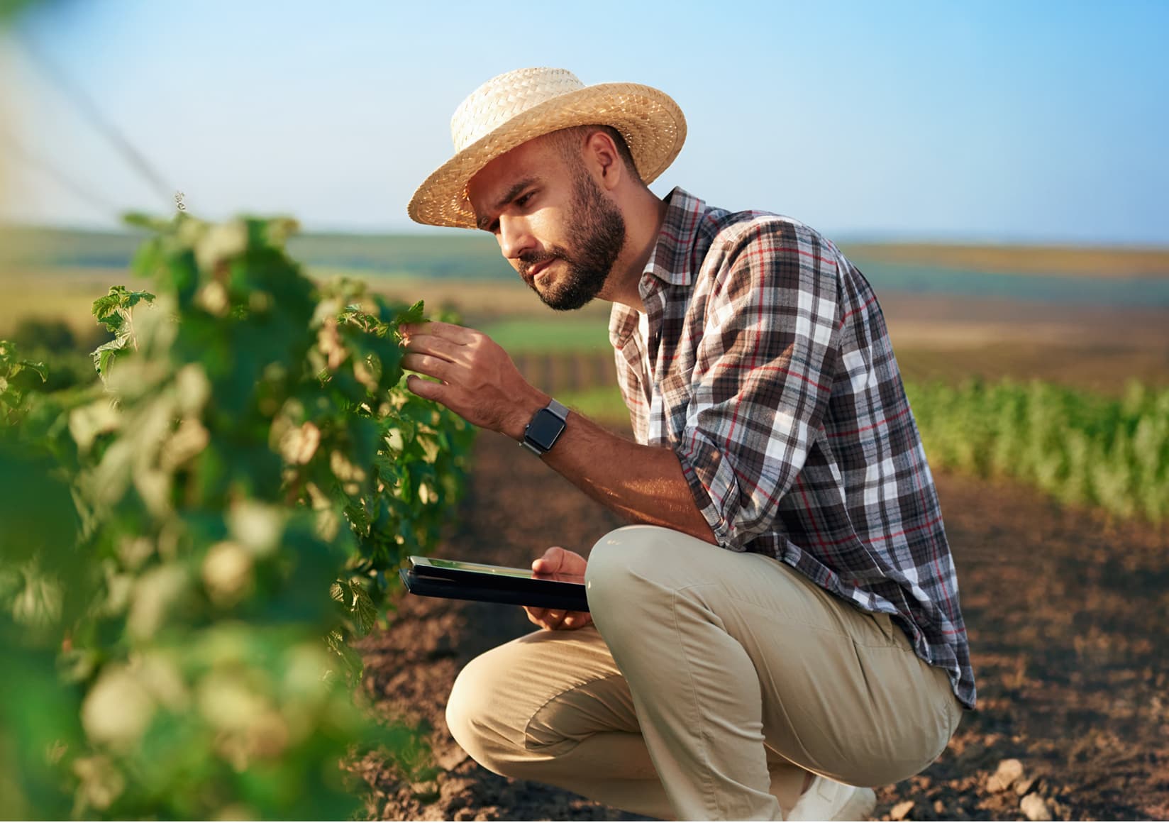 Food & Agriculture
